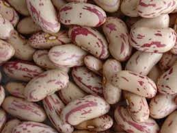 Premium Light Speckled Kidney Beans. Cas No: 91770-12-6