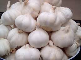 Fresh Garlic - Standard Size | 100% Organic, Bulk Packaging Options, Cold Storage Quality