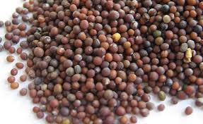 Natural Mustard Seeds (Rai)
