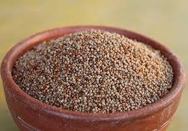 Pure Millet