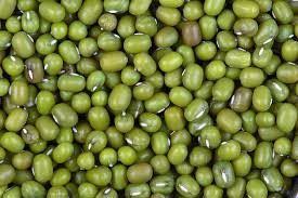 Whole Green Moong Dal Moisture (%): Moisture Free