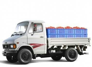 Vegetable Transportation Services