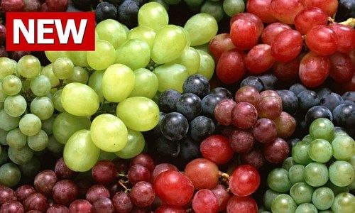 Fresh Grapes