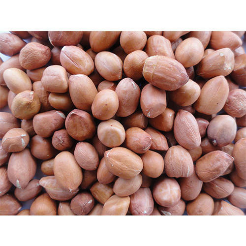 Organic Groundnut Seed