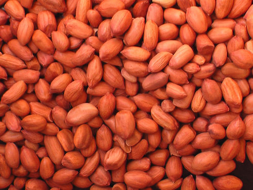 Peanut Or Ground Nut