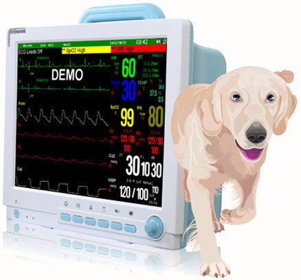 Vet-15M 15 Inch Patient Veterinary Monitor Size: Customized