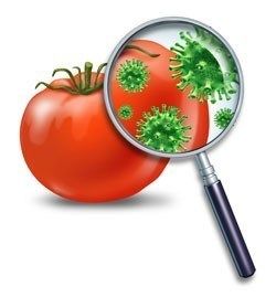 Food Microbiology Testing Service