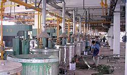 Silver Paint Plant