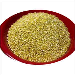 High Grade Millet - Premium Quality Grain | Rich in Medicinal Properties, High Source of Vitamins