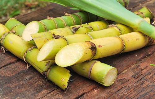 Sugarcane Fruits