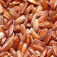 Red Rice