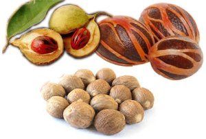 Kerala Organic Nutmeg