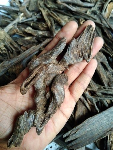 Top Grade Agarwood Chips