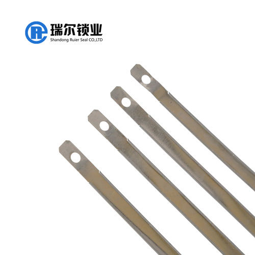 Metal Strap Seal