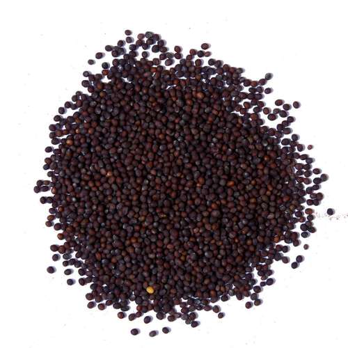 Mustard Seeds