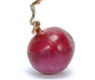 Onion F1 Hybrid (Dark Pinkish Red) Seeds