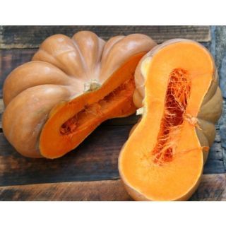 Pumpkin Ripe - Paka Kaddoo