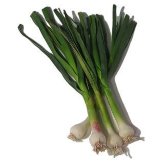 Spring Onion - Hara Pyaj