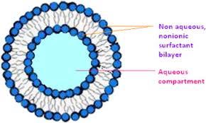 Nonionic Surfactant