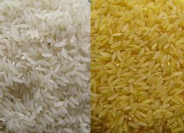 High Quality Raw Rice