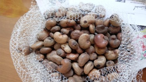 Raw Cashew Nuts