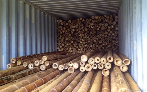 Bamboo Wood Poles