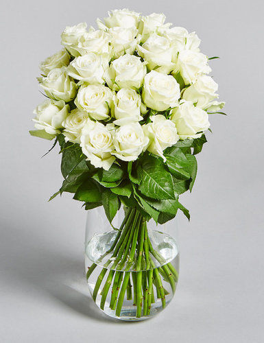 Fresh White Rose