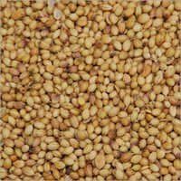 Coriander Seeds