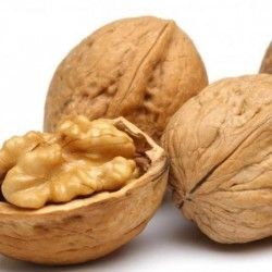 Walnut (Akhrot)