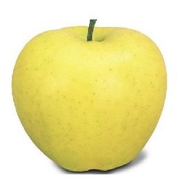 Apple Golden