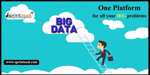 Big Data Training Service - Comprehensive Hadoop Certification Course | Master Data Capture, Sharing, Visualization, and Optimization Techniques