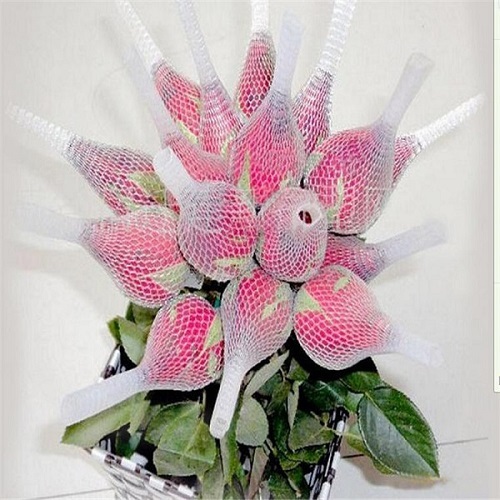 Pe White Extruded Rose Protection Bud Net