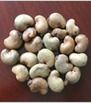 Raw Cashew Nuts - Premium Quality, Nutrient-Rich, Stringently Quality Checked and Pocket-Friendly