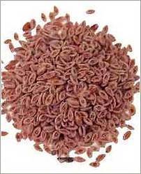 Psyllium Red Chit