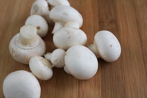 Fresh White Mushroom