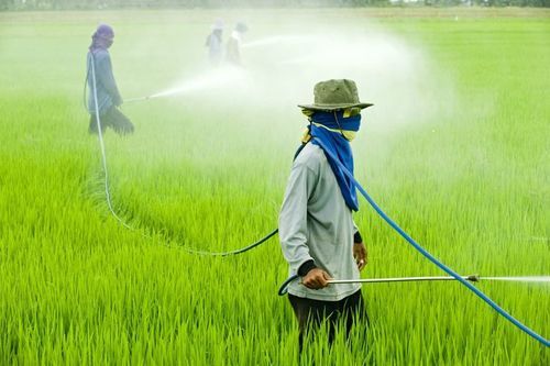 Agricultural Pesticides - Premium Quality Blends | Herbicides, Insecticides, Fungicides, Disinfectants, Rodent Control Solutions