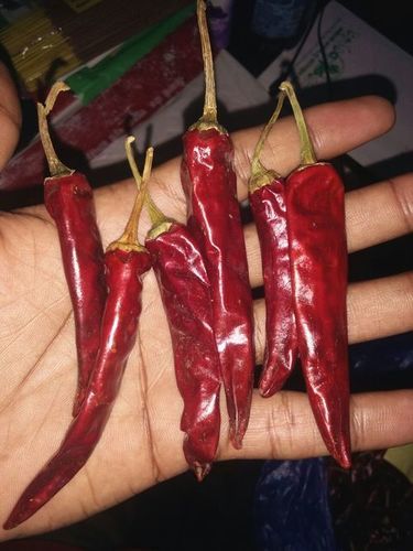red chillies endo 5