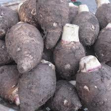 Taro Root