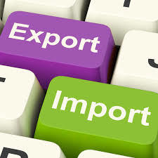 Import Export Consultant Services By SHREE NAKODA ENTERPRISE