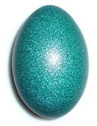 Emu egg