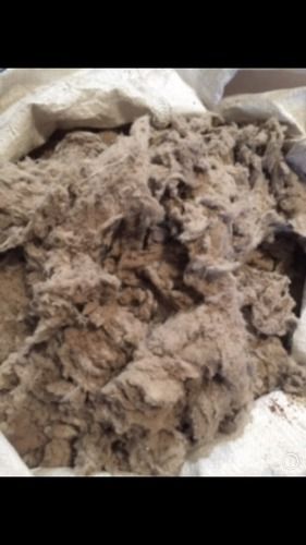 Cotton Kitti Waste