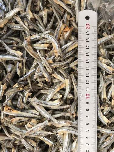 Dried Anchovy Headon Fillet By Nghi Son Aquatic Food Exim., Ltd