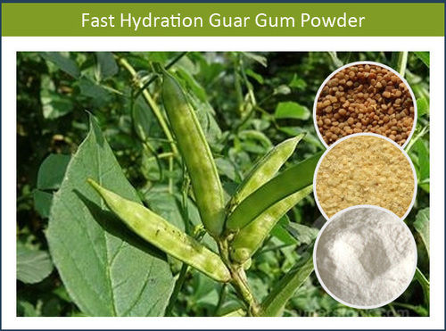 Organic Fast Hydration Guar Gum Powder
