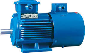 Industrial Motor