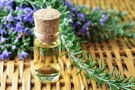 Rosemary Oil Age Group: All Age Group