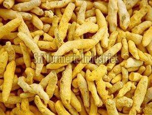 Double Polished Turmeric Finger