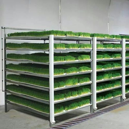 Hydroponic Green Fodder System