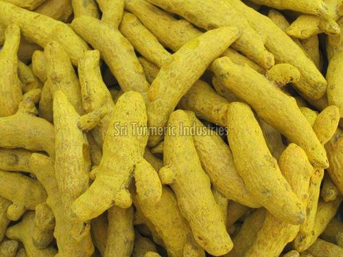 Turmeric Finger - Premium Quality Natural Spice, Excellent Color and Aroma