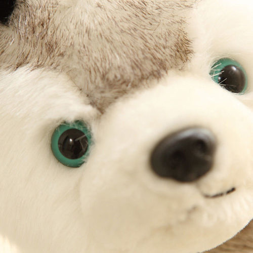Eye & Nose For Soft Toys