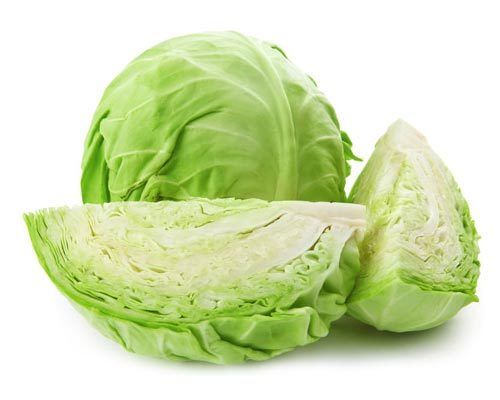 Fresh Cabbage